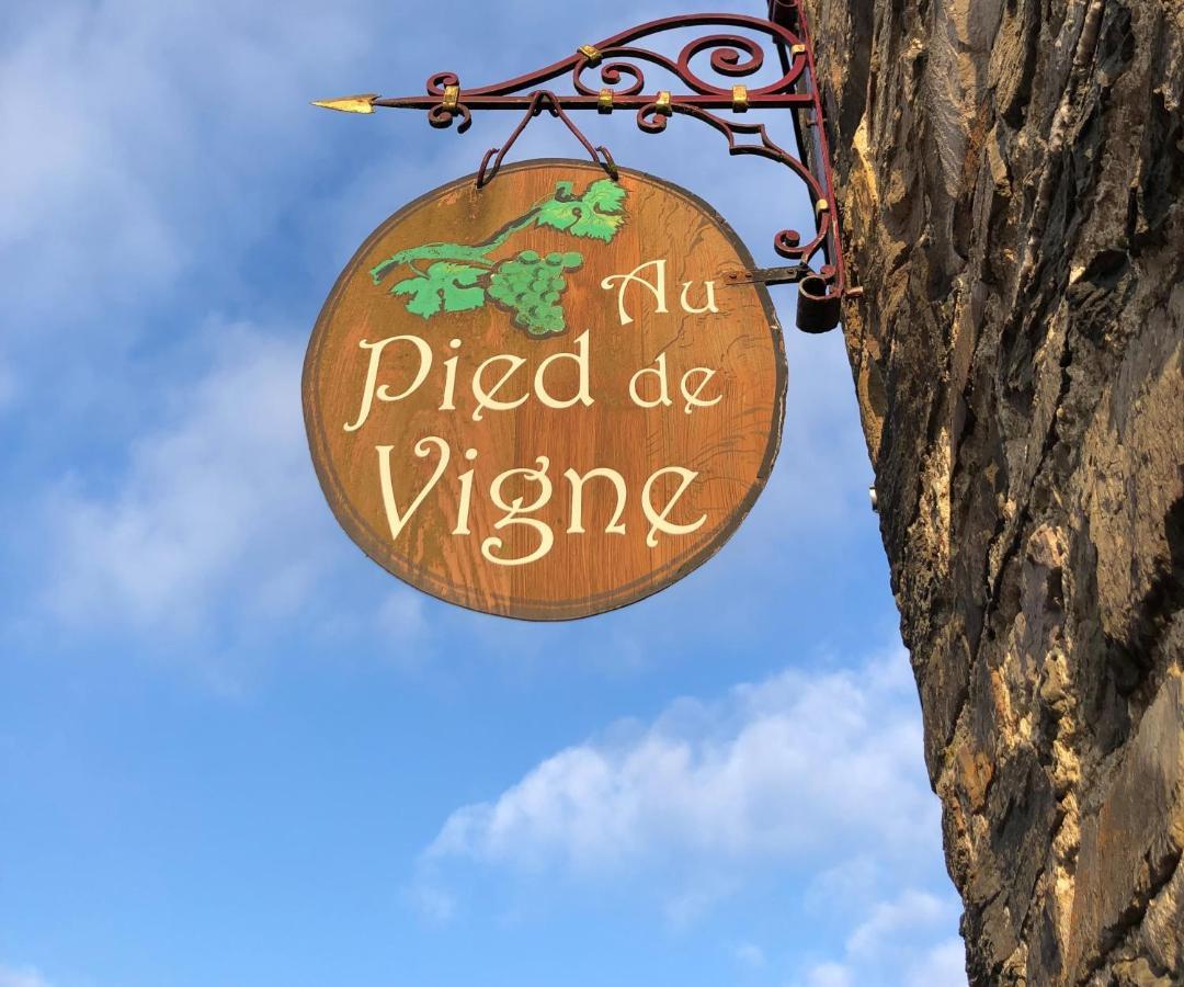 Appart Hotel Au Pied De Vigne Vresse-sur-Semois Eksteriør billede